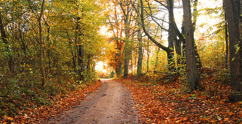 L’autunno sta confondendo il quadro sulla previdenza