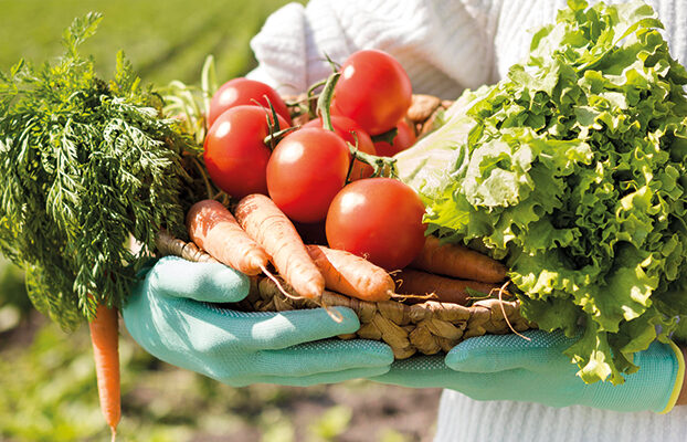 Indennità di disoccupazione agricola al 75% e non più al 40%